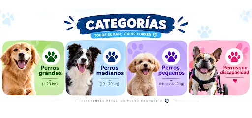 Categorías de la Maratón Solidaria: perros grandes, medianos, pequeños y con discapacidad