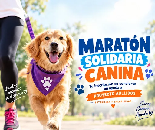 Perrito feliz con bandana listo para la maratón