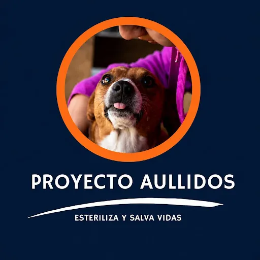Proyecto Aullidos - Esteriliza y salva vidas
